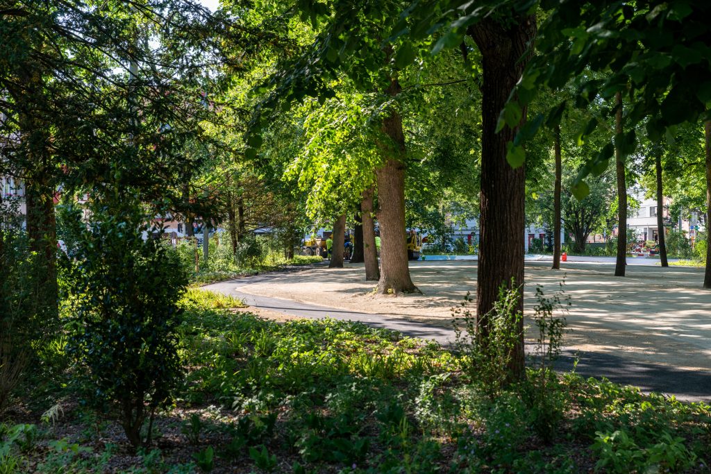 Nach Neusanierung ist der Winkelriedplatz eine Naturoase im Gundeli