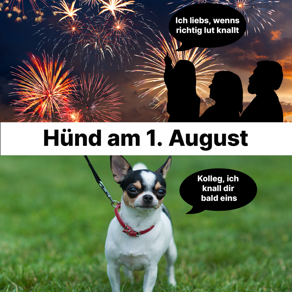 Ein paar knallige Memes zum 1. August