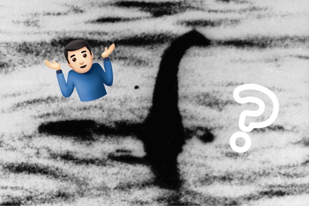 Noch kein konkretes Ergebnis bei Nessie-Suche