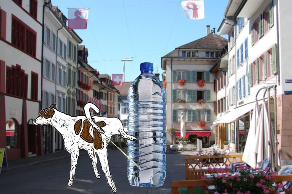 Mit Wasserflaschen gegen pinkelnde Hunde