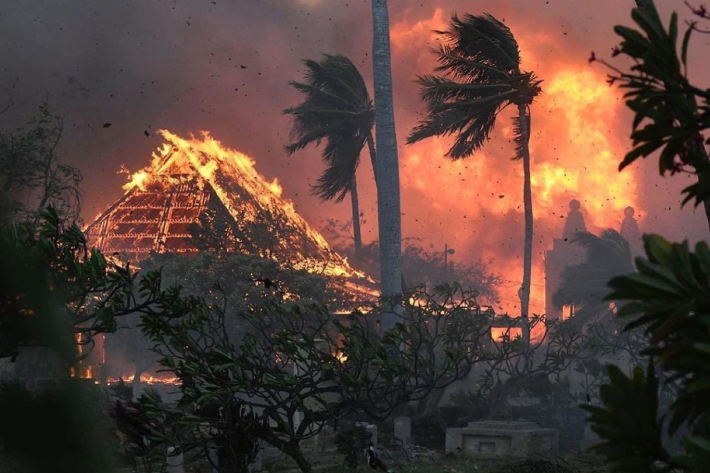Dramatische Waldbrände in Hawaii: Anwohner stürzen sich zur Rettung ins Meer