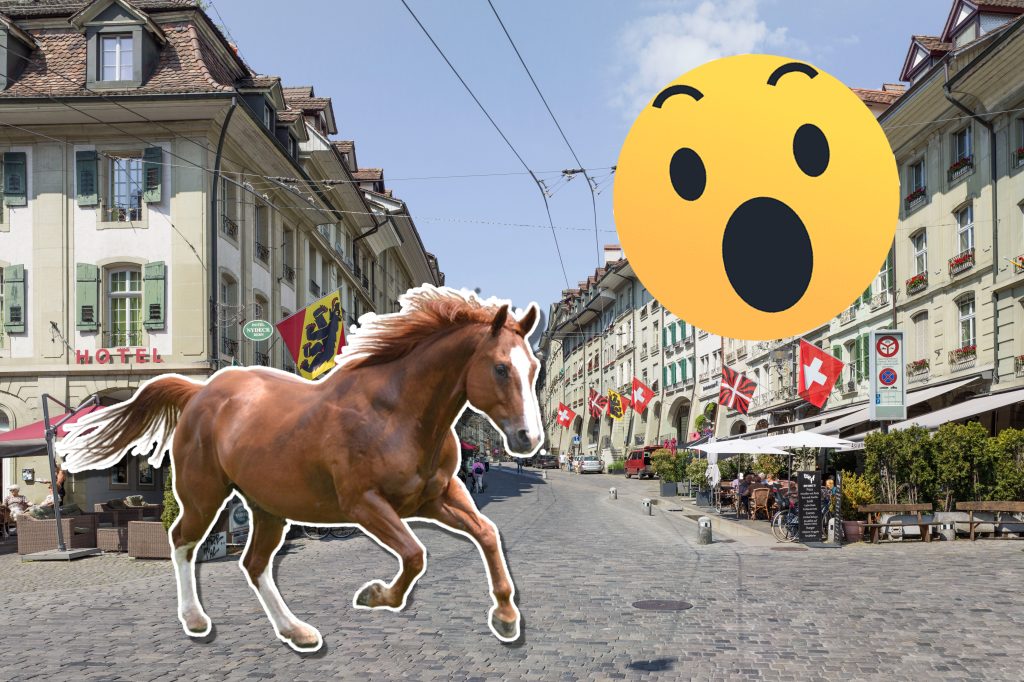 Ausgebüxtes Pferd macht Bern unsicher