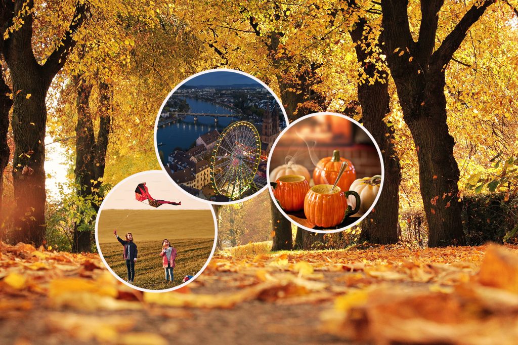 Worauf du dich im Herbst in Basel am meisten freuen kannst