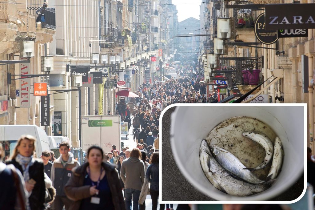Verdorbener Fisch in französischer Bar: Tote und zehn Vergiftete