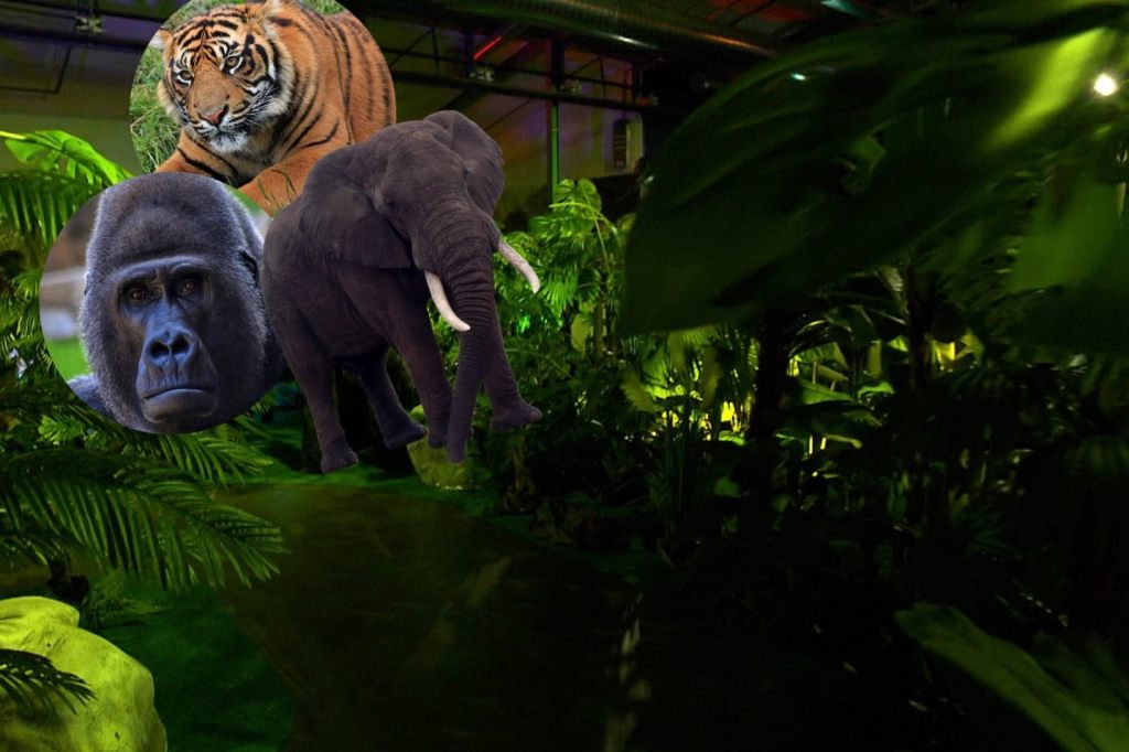 Gorilla, Elefanten und Tiger: Basel hat jetzt einen «Jungle»