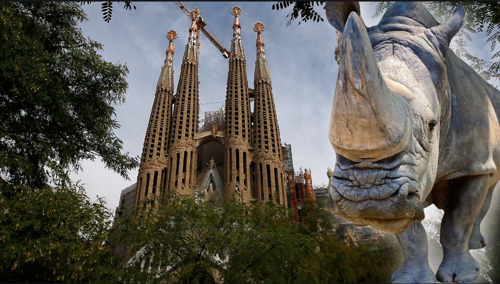 Zoo von Barcelona trauert um das «älteste Nashorn Europas»