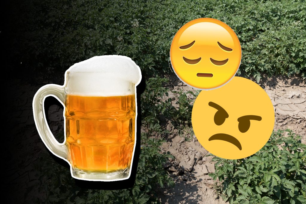 Wegen Klimawandel könnte es bald weniger Bier geben