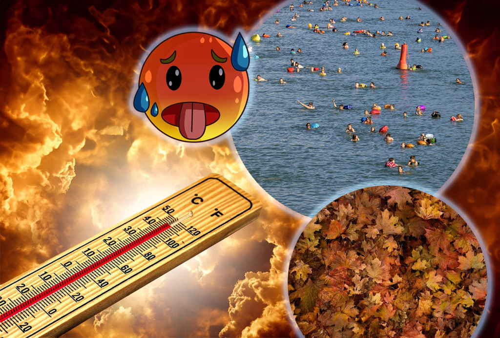 Hitze nimmt kein Ende: Das war der heisseste September der Wettergeschichte