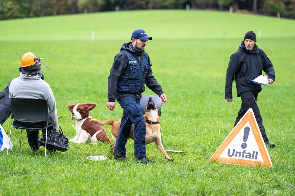 «Ace» gewinnt glanzvollen ersten Rang bei der Hundeprüfung