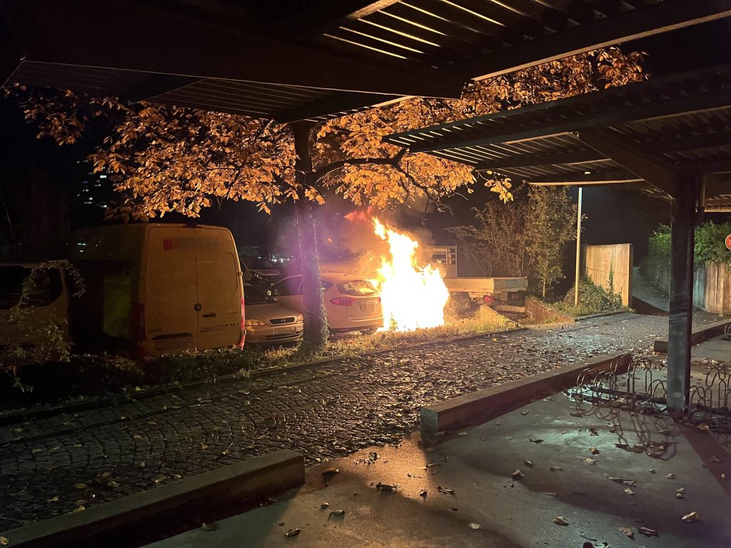 Die Polizei hatte in der Halloween-Nacht viel zu tun