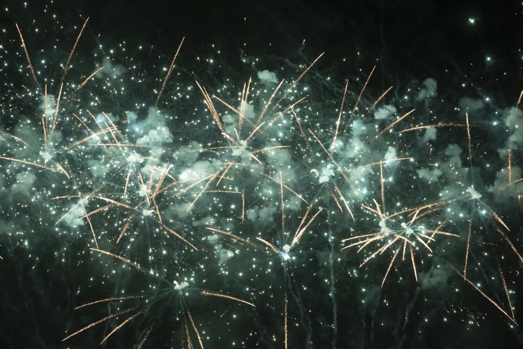 Initiative fordert Einschränkungen für Feuerwerk