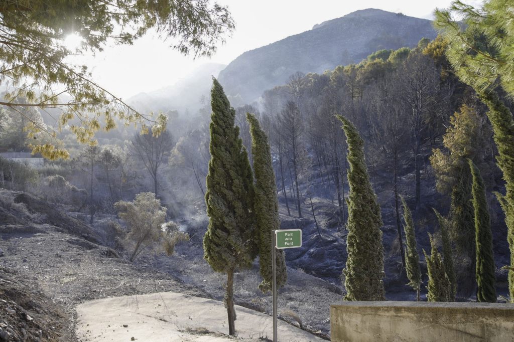 Grösserer Waldbrand im Osten Spaniens weitgehend unter Kontrolle
