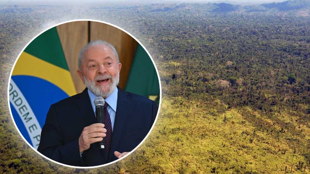 Deutlich weniger Rodung im brasilianischen Amazonasgebiet