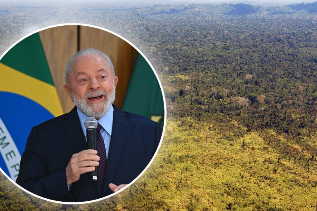 Deutlich weniger Rodung im brasilianischen Amazonasgebiet