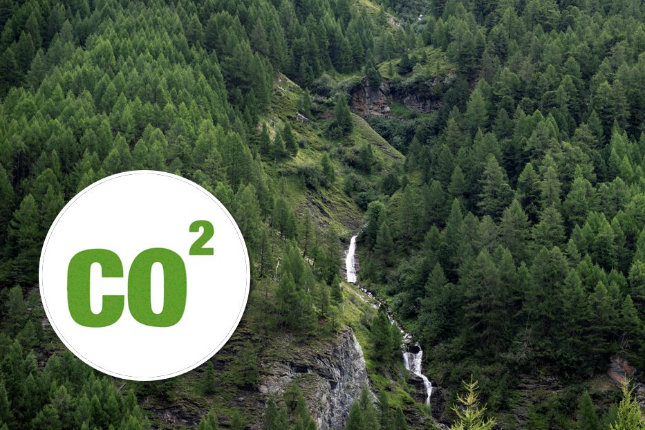 Wälder könnten deutlich mehr CO2 speichern