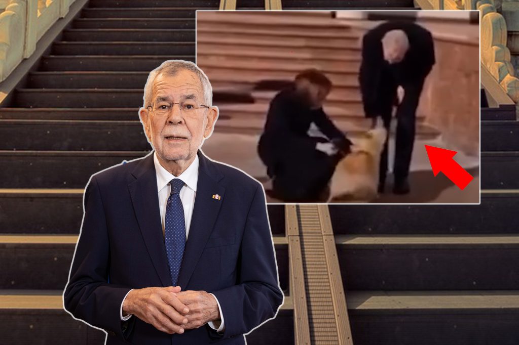 «Kurz zugeschnappt»: Van der Bellen wurde vom Hund der Präsidentin gebissen