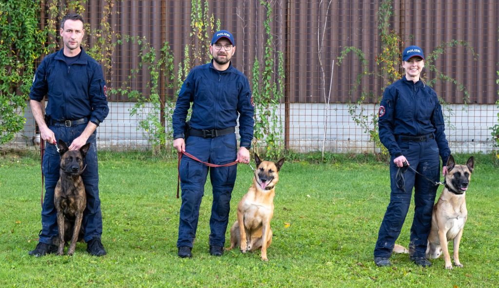 "Ace" gewinnt glanzvollen ersten Rang bei der Hundeprüfung