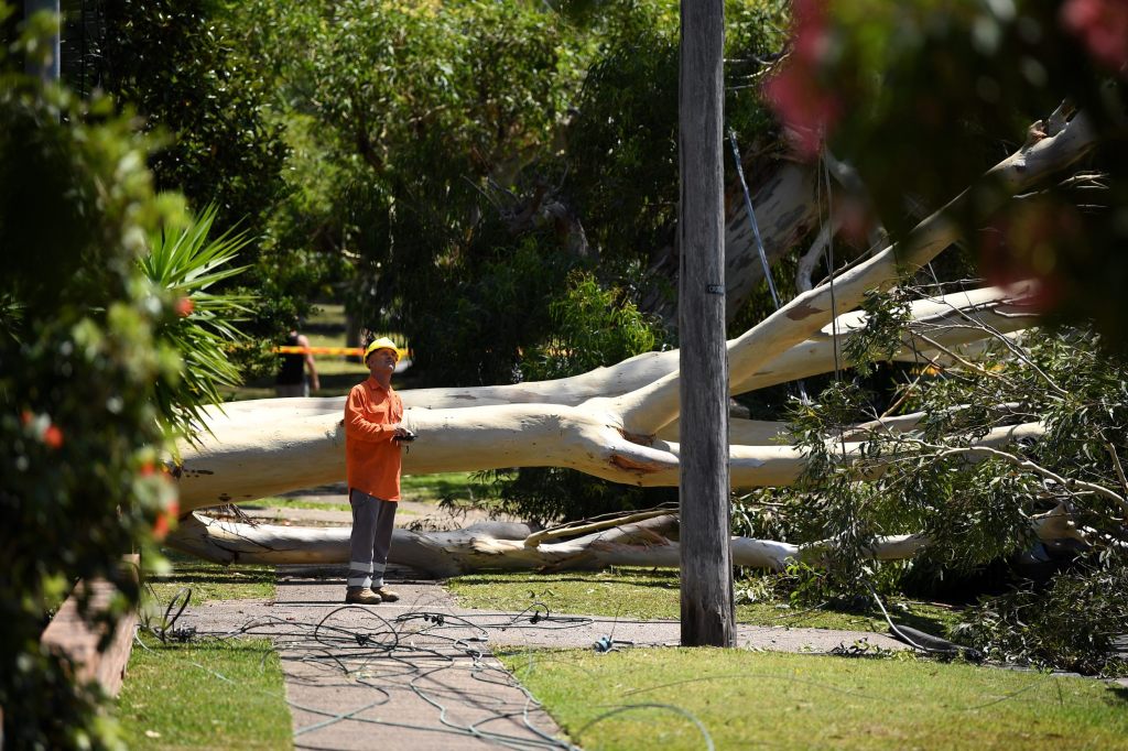 110’000 Haushalte in Australien sind ohne Strom