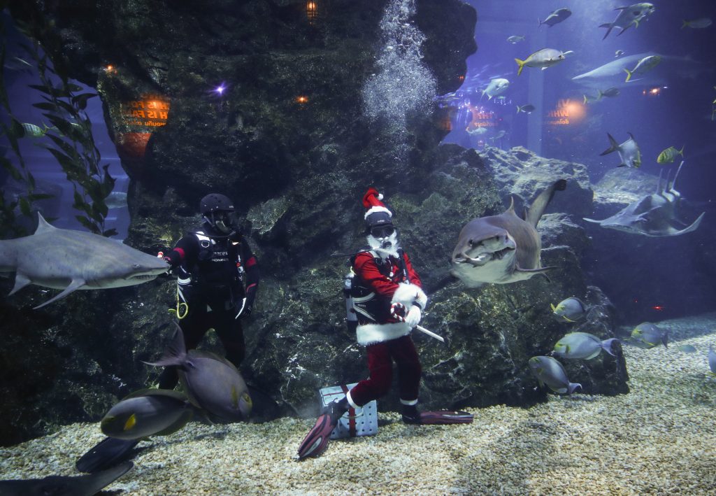 Von Lissabon bis Bangkok: Das sind die beliebtesten Weihnachtsreiseziele