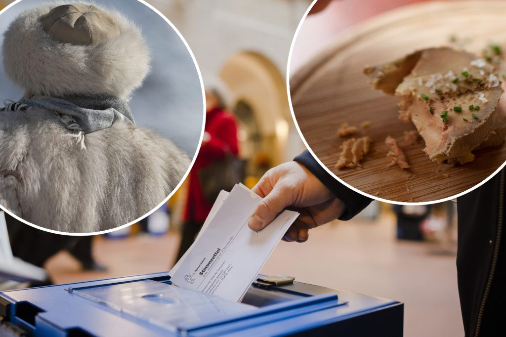Volk entscheidet bald über Pelz- und Stopfleber-Importverbote