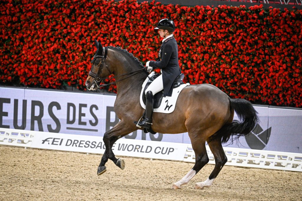 Longines CHI Classics Basel : Wo sich  die Elite des Reitsports trifft