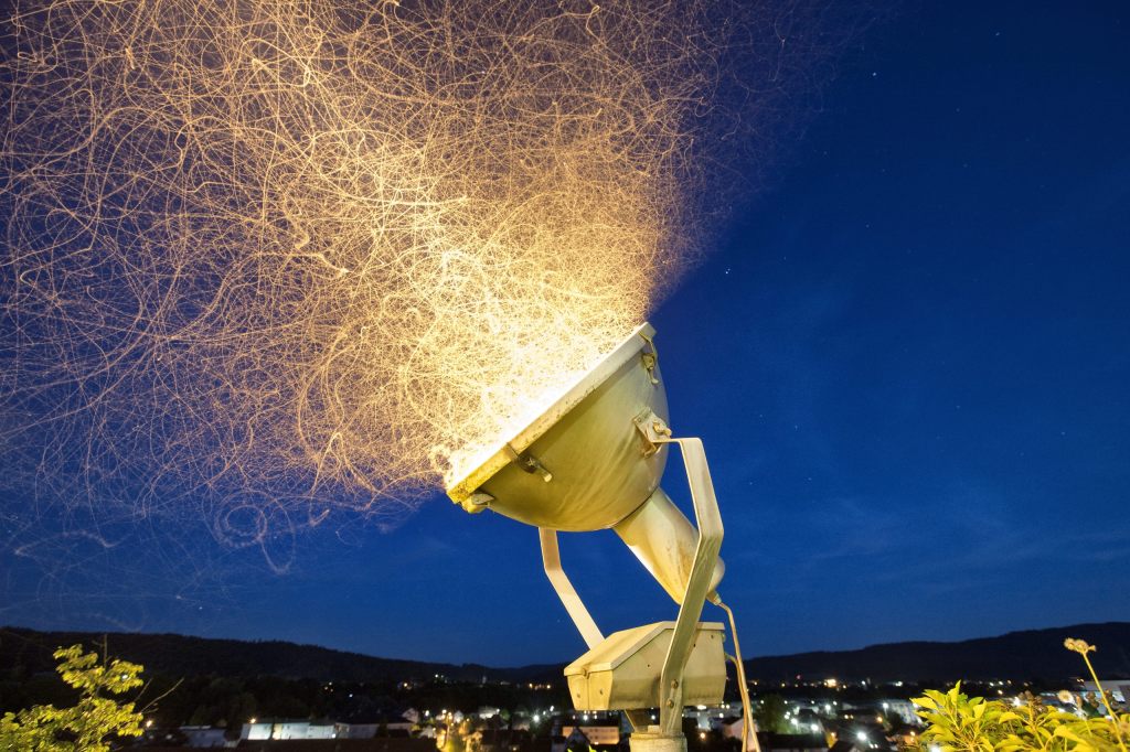 Deshalb schwirren Insekten nachts um Lampen herum