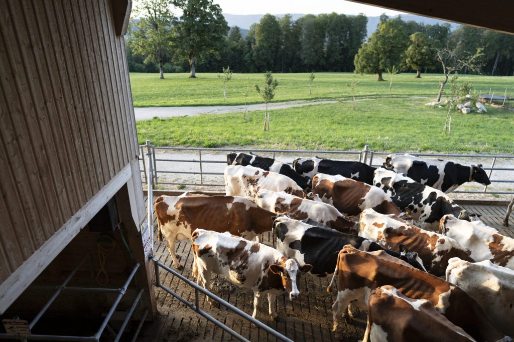 Weniger Geld für Landwirte stösst parteiübergreifend auf Unmut