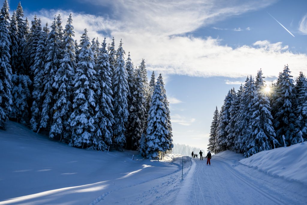 Zweiter Wintereinbruch überzuckert weite Teile der Schweiz