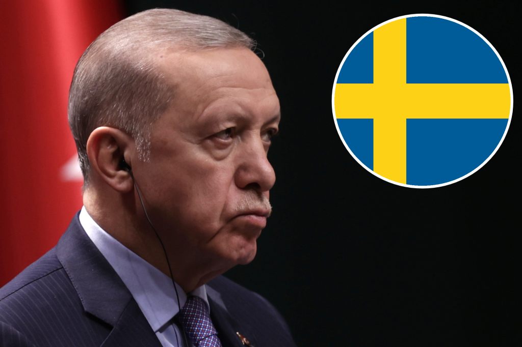 Türkei ratifiziert schwedischen Nato-Beitritt