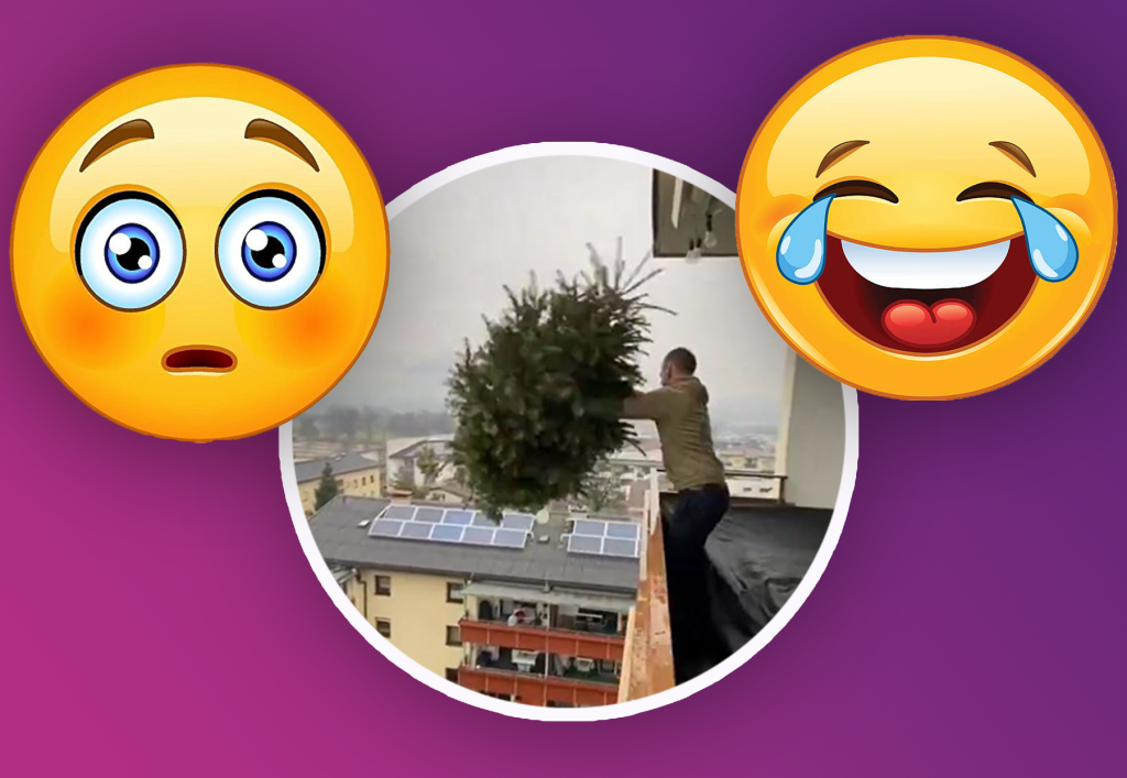 Von Kanone bis Weitwurf: Weihnachtsbaum entsorgen mal anders
