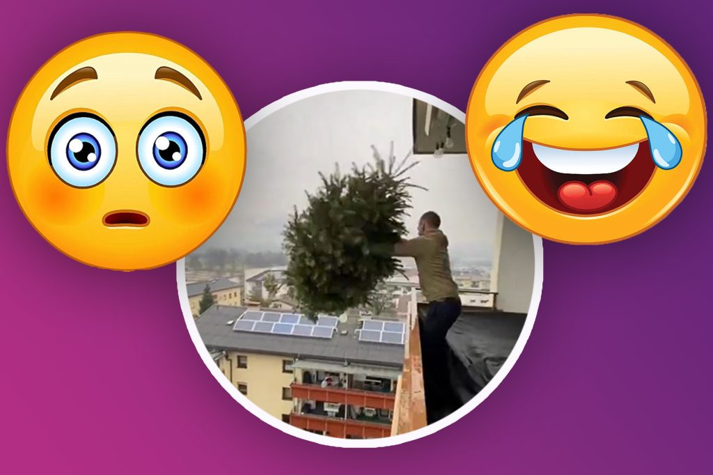 Von Kanone bis Weitwurf: Weihnachtsbaum entsorgen mal anders