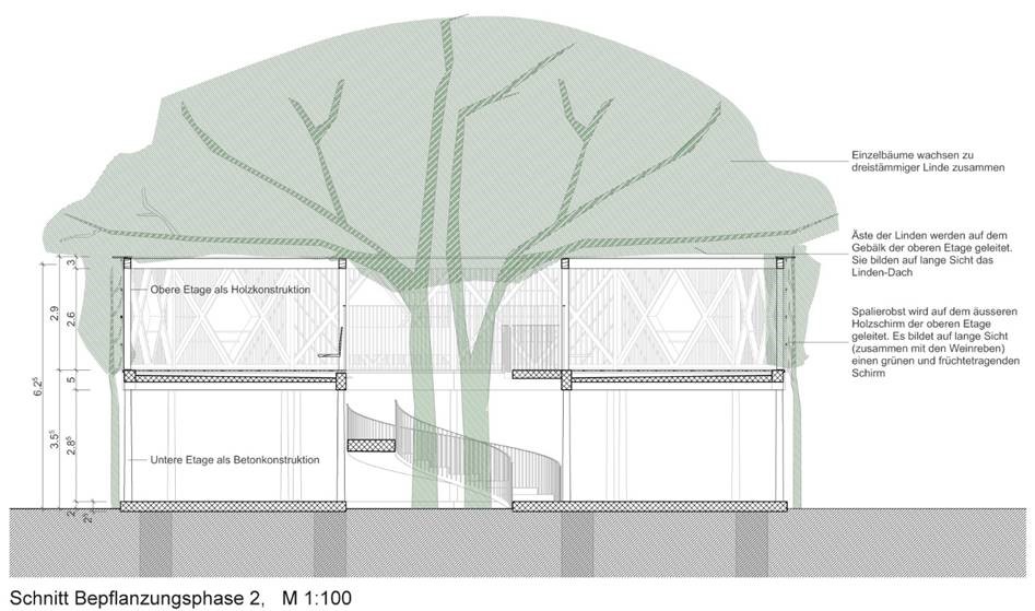 Mit Pavillon und 83 neuen Bäumen: In Volta Nord entsteht ein neues Quartierzentrum