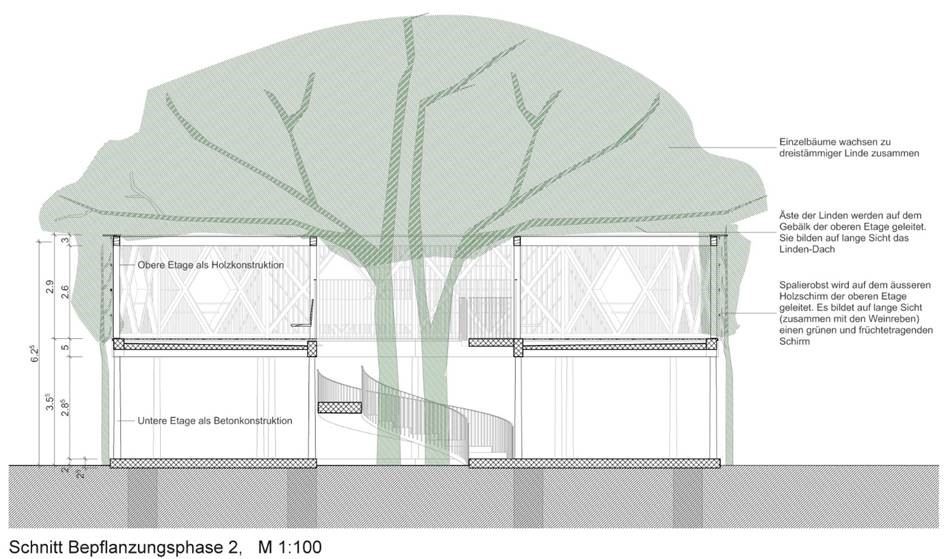 Mit Pavillon und 83 neuen Bäumen: In Volta Nord entsteht ein neues Quartierzentrum