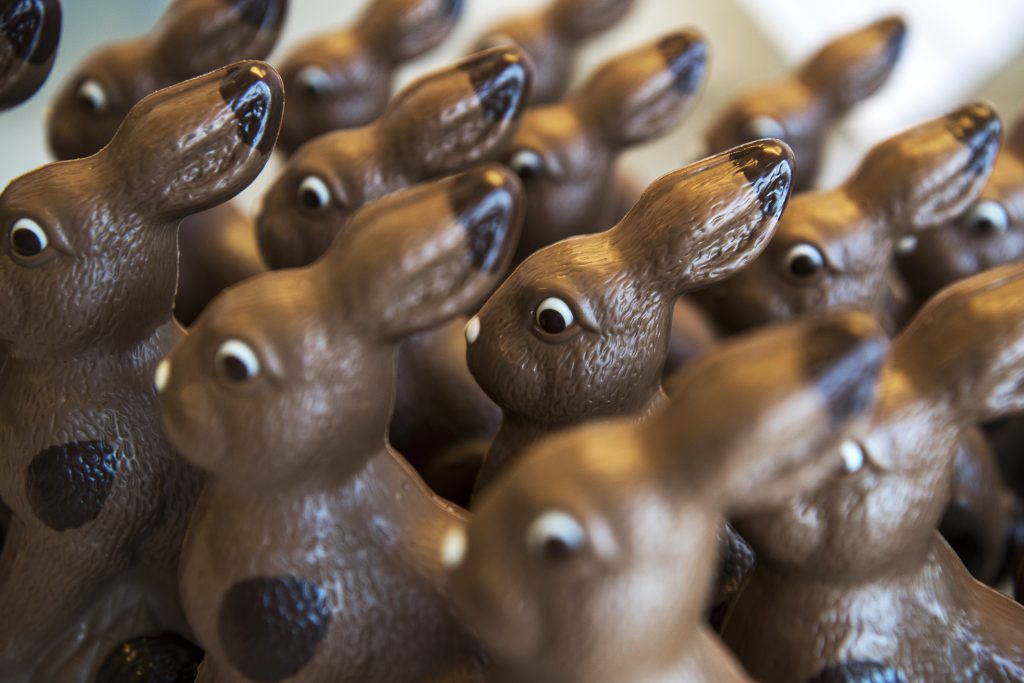 Ökobilanz von Schoggi-Osterhasen: Je dunkler, desto besser