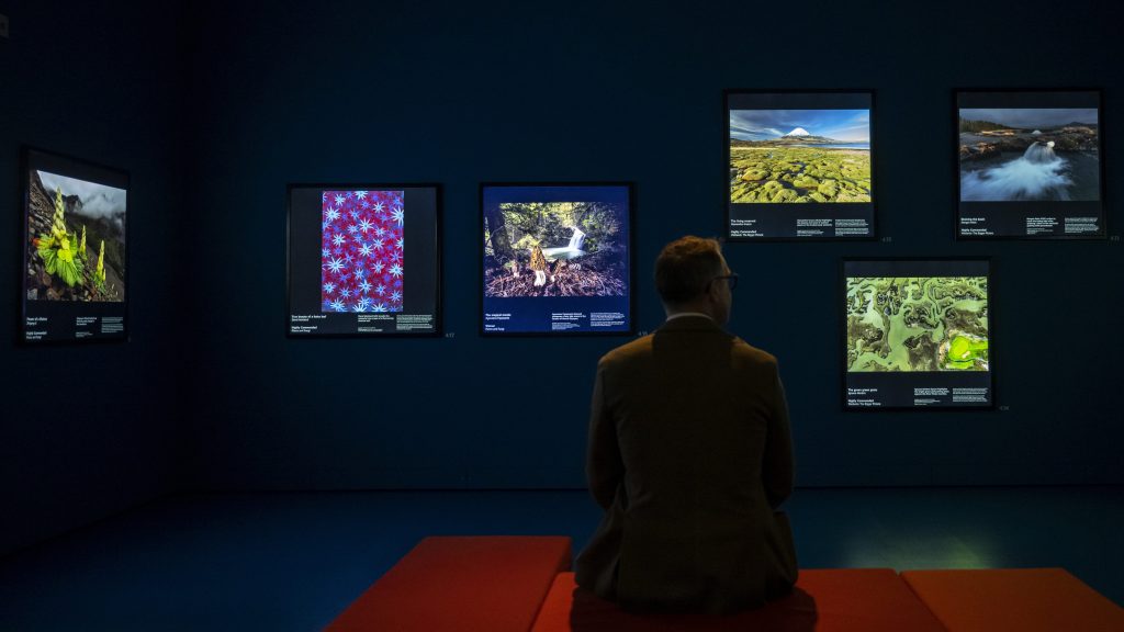 Erfolgreiches Jahr für Basler Museen: Besucherzahlen steigen um 9 Prozent