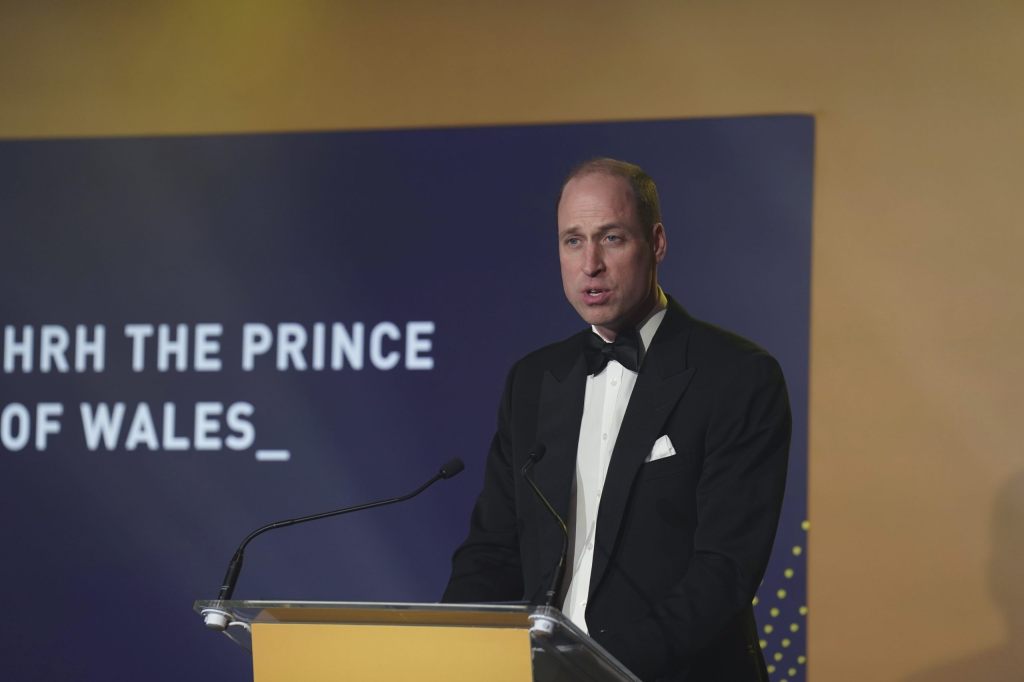 Kluft zwischen den Prinzen: William und Harry treten beim Diana Legacy Award getrennt auf