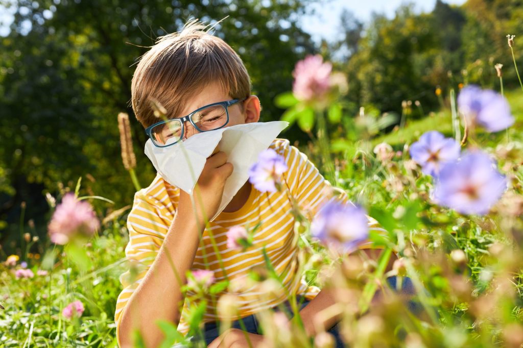 Heuschnupfenalarm: Die Birkenpollen sind schon da