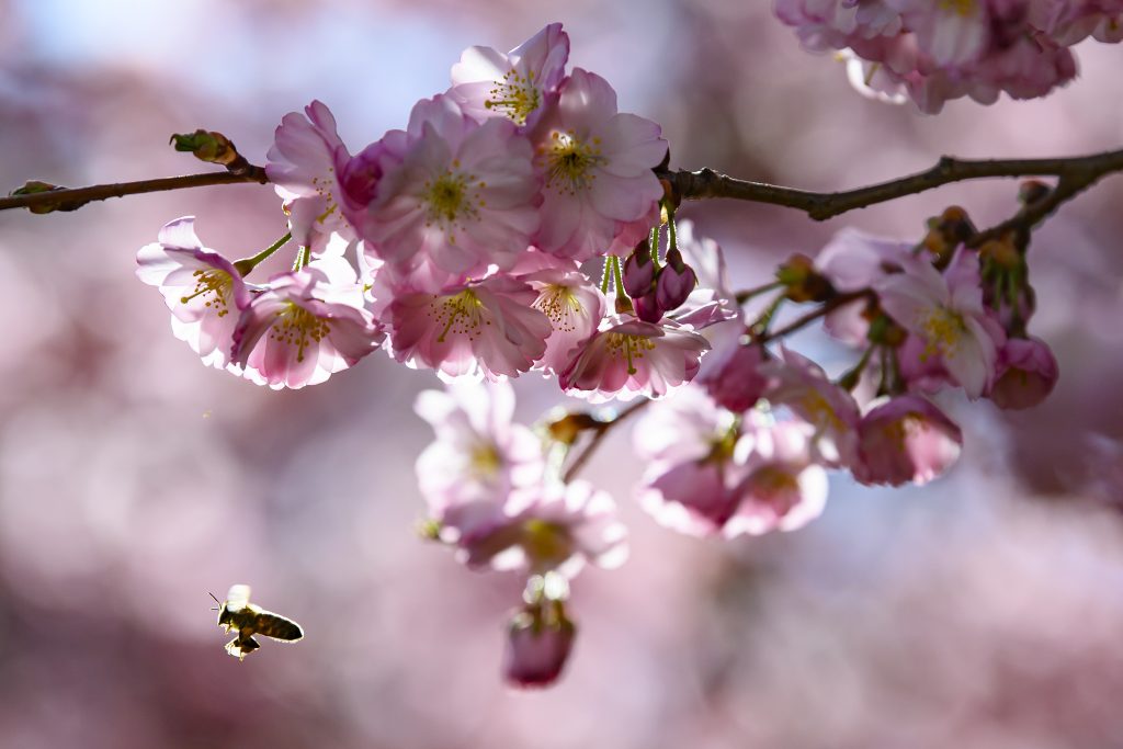 Das sind die heissesten Tipps für den Frühling