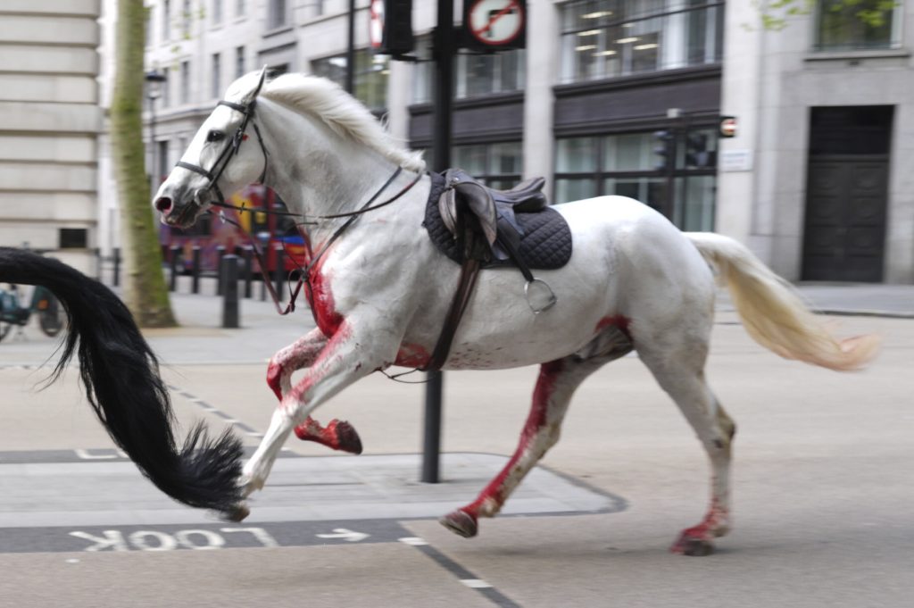 Entlaufene Pferde galoppieren durch Londoner Innenstadt