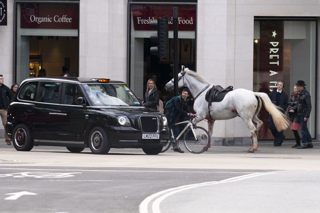 Entlaufene Pferde galoppieren durch Londoner Innenstadt