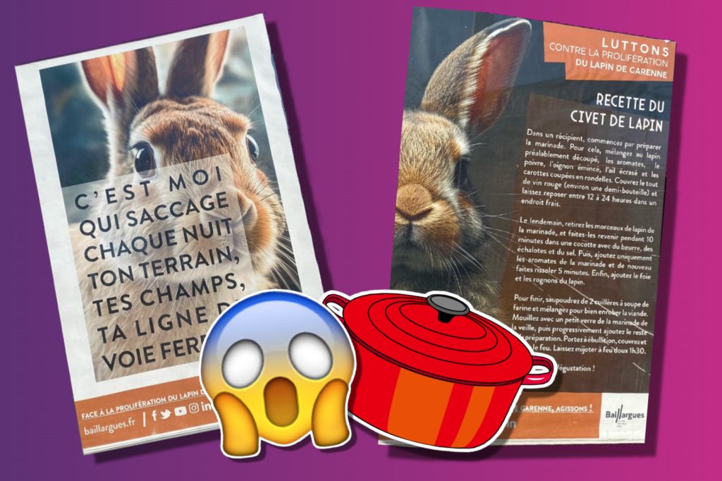 Bürgermeister kämpft mit Ragout-Rezept gegen Kaninchenplage