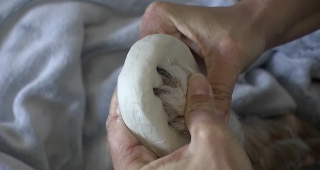 Wenn das geliebte Haustier verstirbt: Würde- & liebevoller Abschied im Tierkrematorium