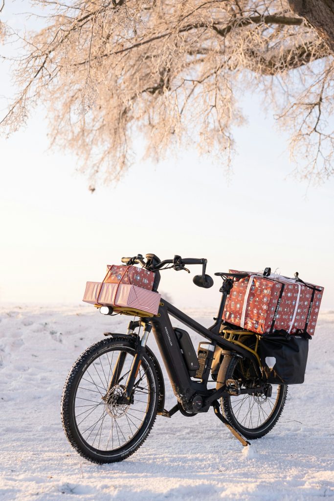 Das musst du beim Kauf eines Cargobikes beachten