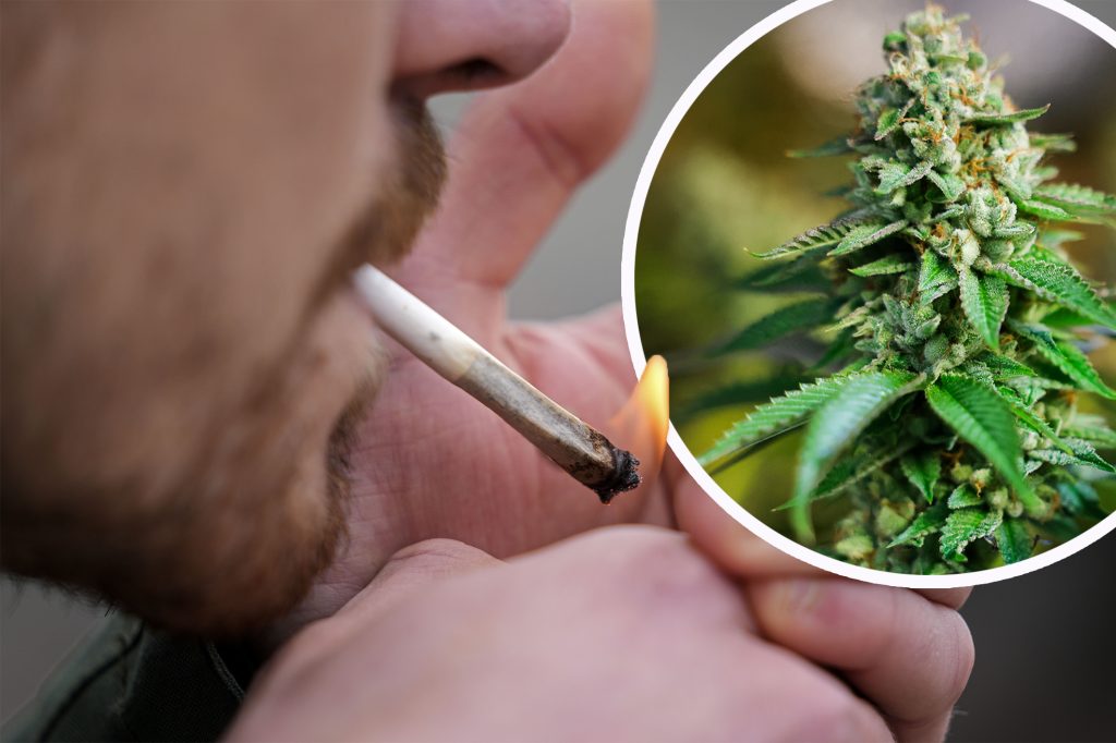 Basler Studie zeigt: Medizinisches Cannabis verbessert psychische Gesundheit