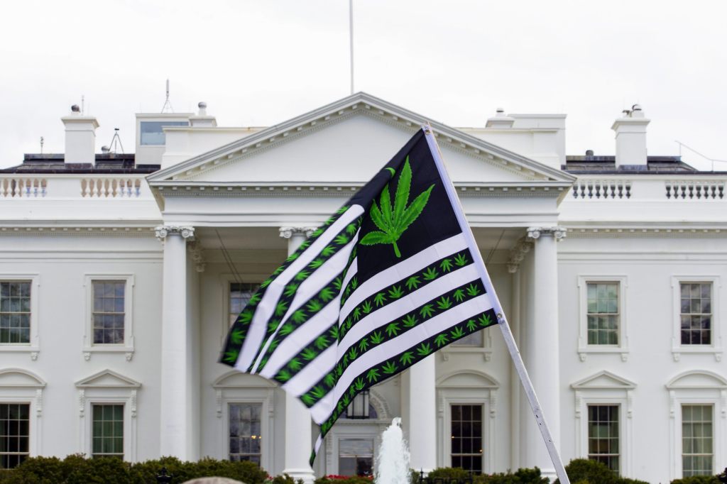 US-Regierung macht Weg für Lockerung der Marihuana-Vorschriften frei
