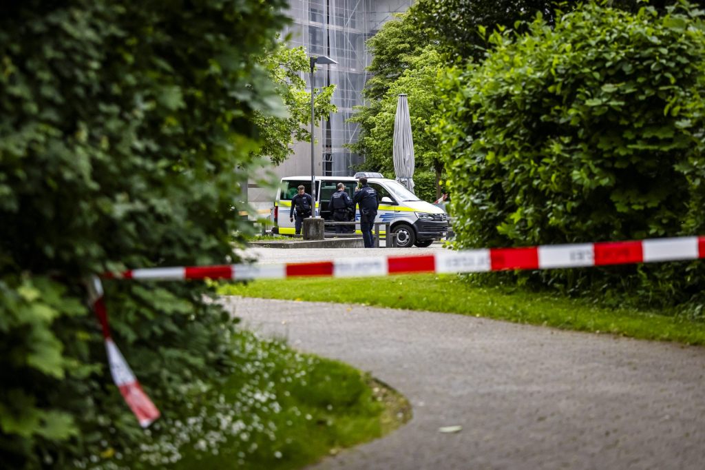 Untersuchung wegen versuchter Tötung gegen Angreifer von Zofingen (43)