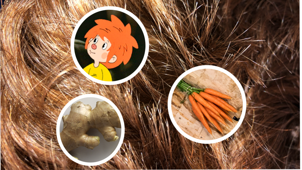 «Riebli», «Pumuckl», «Redgar» – Eine persönliche Sicht auf den Tag der Rothaarigen