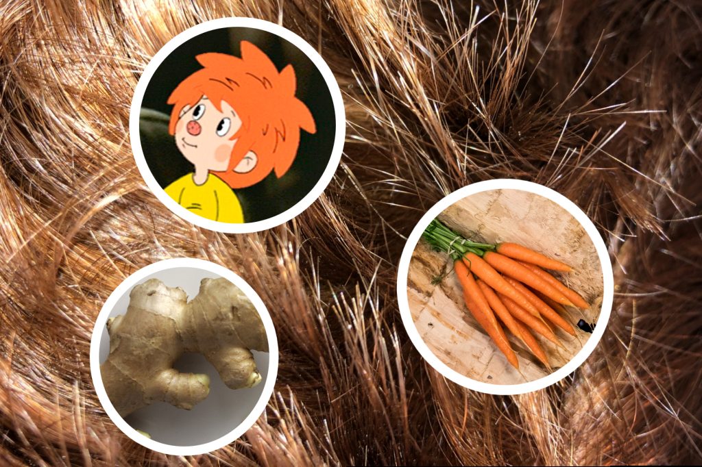 «Riebli», «Pumuckl», «Redgar» – Eine persönliche Sicht auf den Tag der Rothaarigen