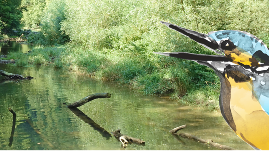 Die Baseljetzt-Tipps für dein Wochenende