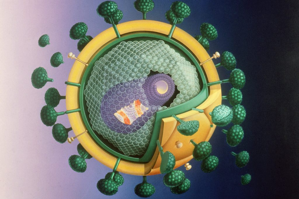 Kein Unfall: HIV-Ansteckung bei ungeschütztem einvernehmlichem Sex